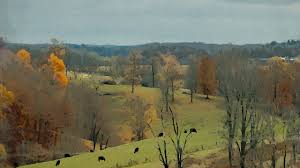 Key art for the documentary featuring rolling hills, autumn foliage, and cows grazing in a rural landscape.